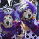 Same costumes? Yikes!